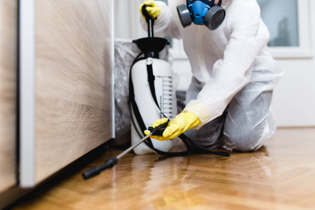 Best Emergency Pest Control  in Moweaqua, IL