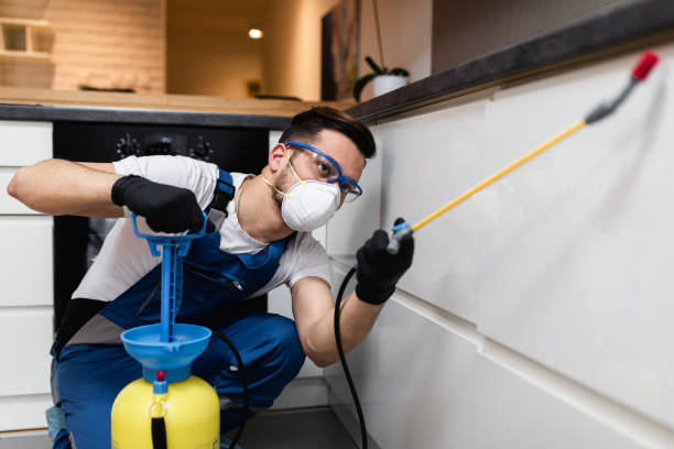 Flea Control Services in Moweaqua, IL