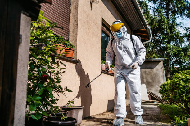 Best Wildlife Control Services  in Moweaqua, IL