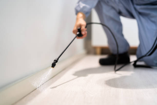 Wasp Removal Services in Moweaqua, IL