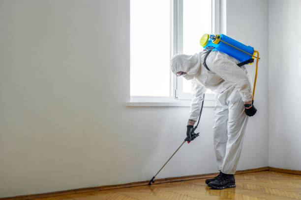 Best Pest Control for Restaurants  in Moweaqua, IL