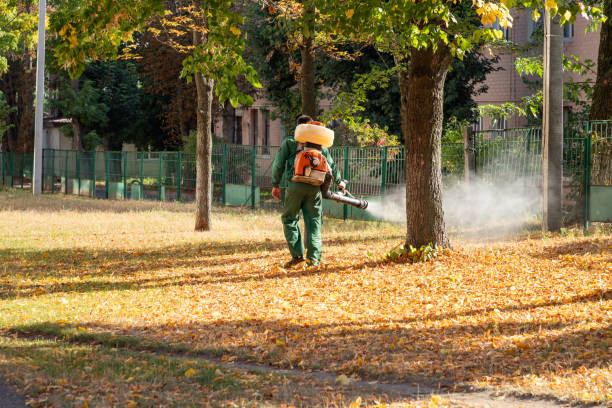 Best Insect Control  in Moweaqua, IL