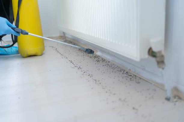 Best Pest Control for Homes  in Moweaqua, IL