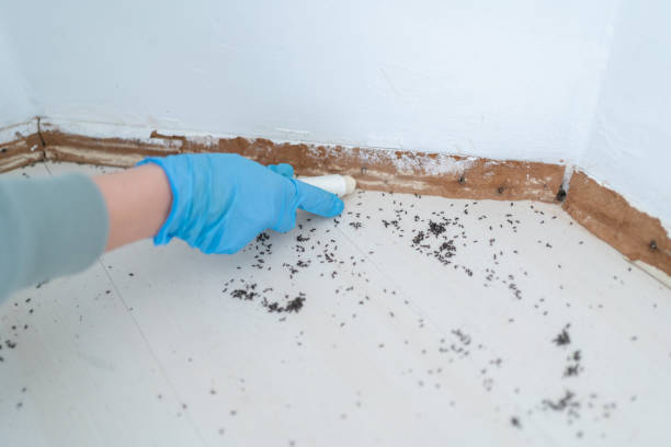 Moweaqua, IL Pest Control Company