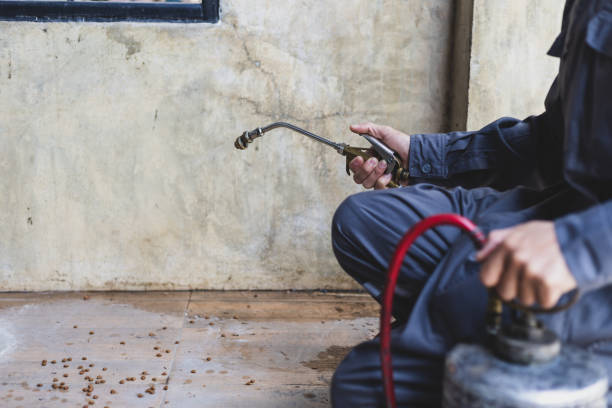 Best Flea Control Services  in Moweaqua, IL