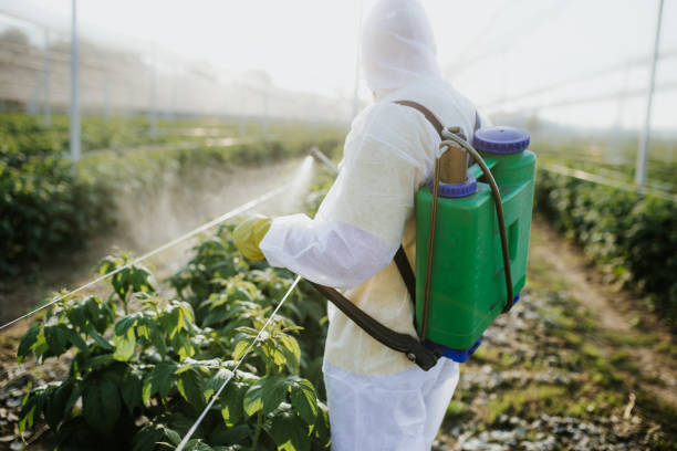 Best Pest Inspection Near Me  in Moweaqua, IL
